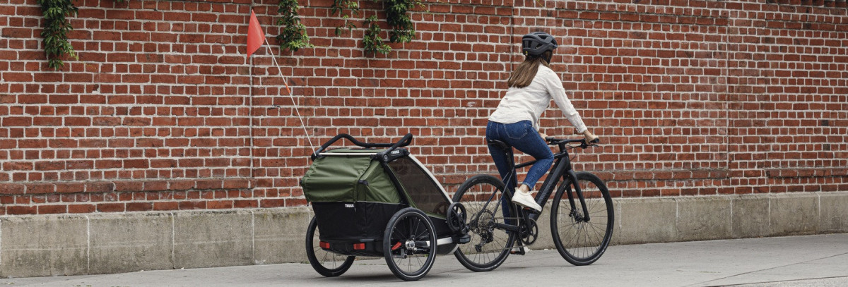 Small Thule Chariot Cab 2021 Ls Details 2