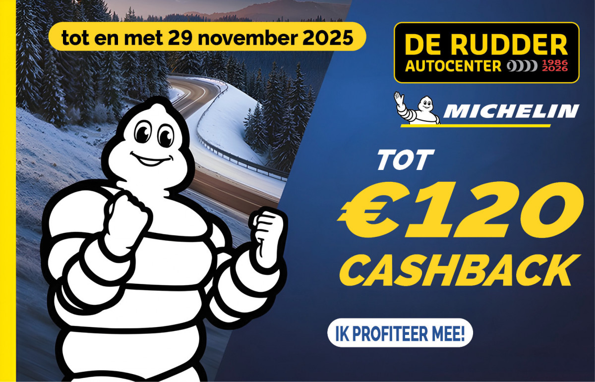 Website Michelin 2029